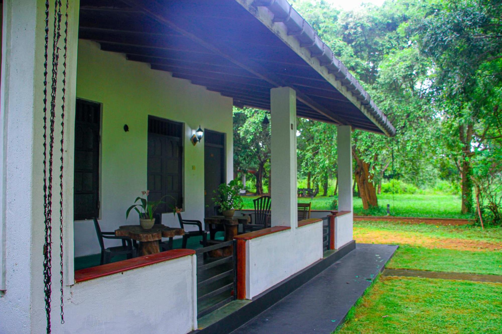 Banana Rest Sigiriya Bed & Breakfast Eksteriør bilde