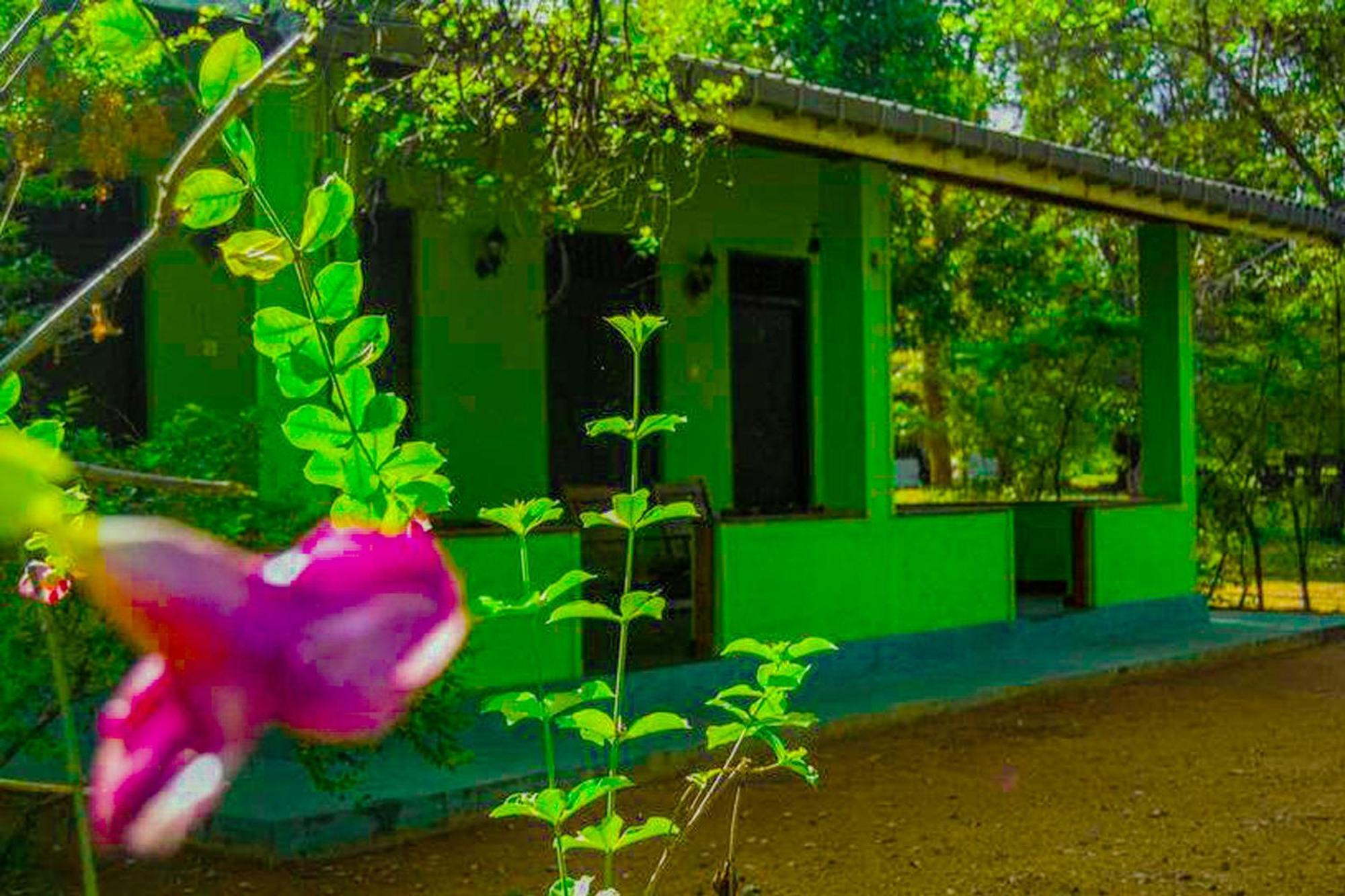Banana Rest Sigiriya Bed & Breakfast Eksteriør bilde