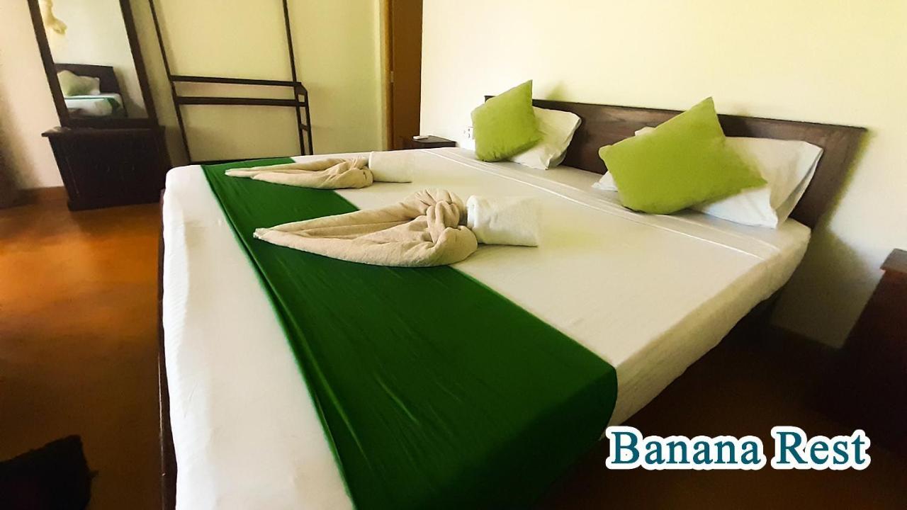 Banana Rest Sigiriya Bed & Breakfast Eksteriør bilde