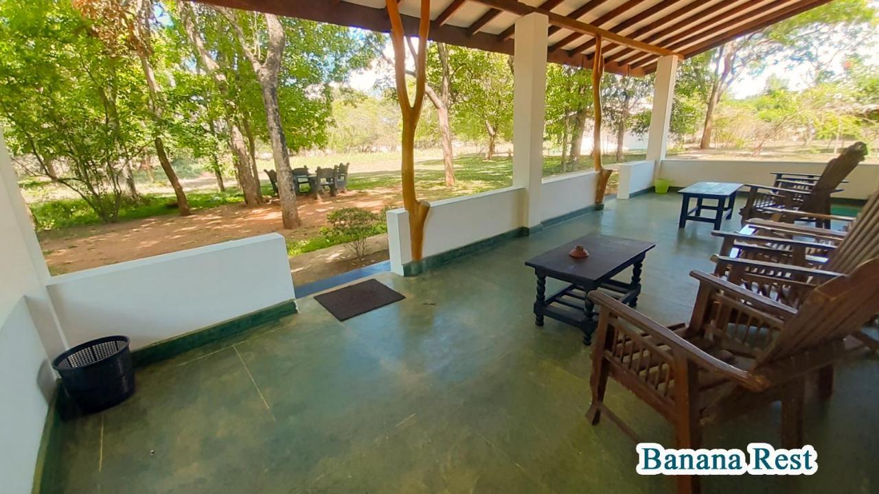 Banana Rest Sigiriya Bed & Breakfast Eksteriør bilde