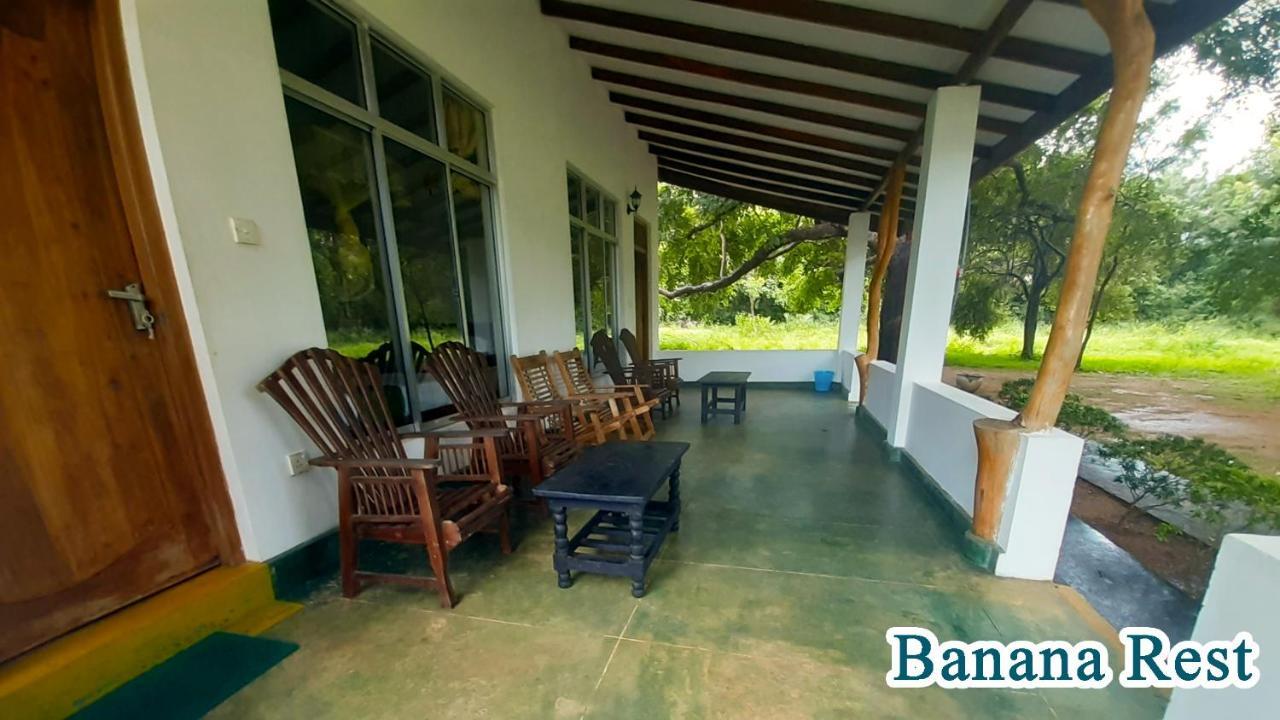 Banana Rest Sigiriya Bed & Breakfast Eksteriør bilde