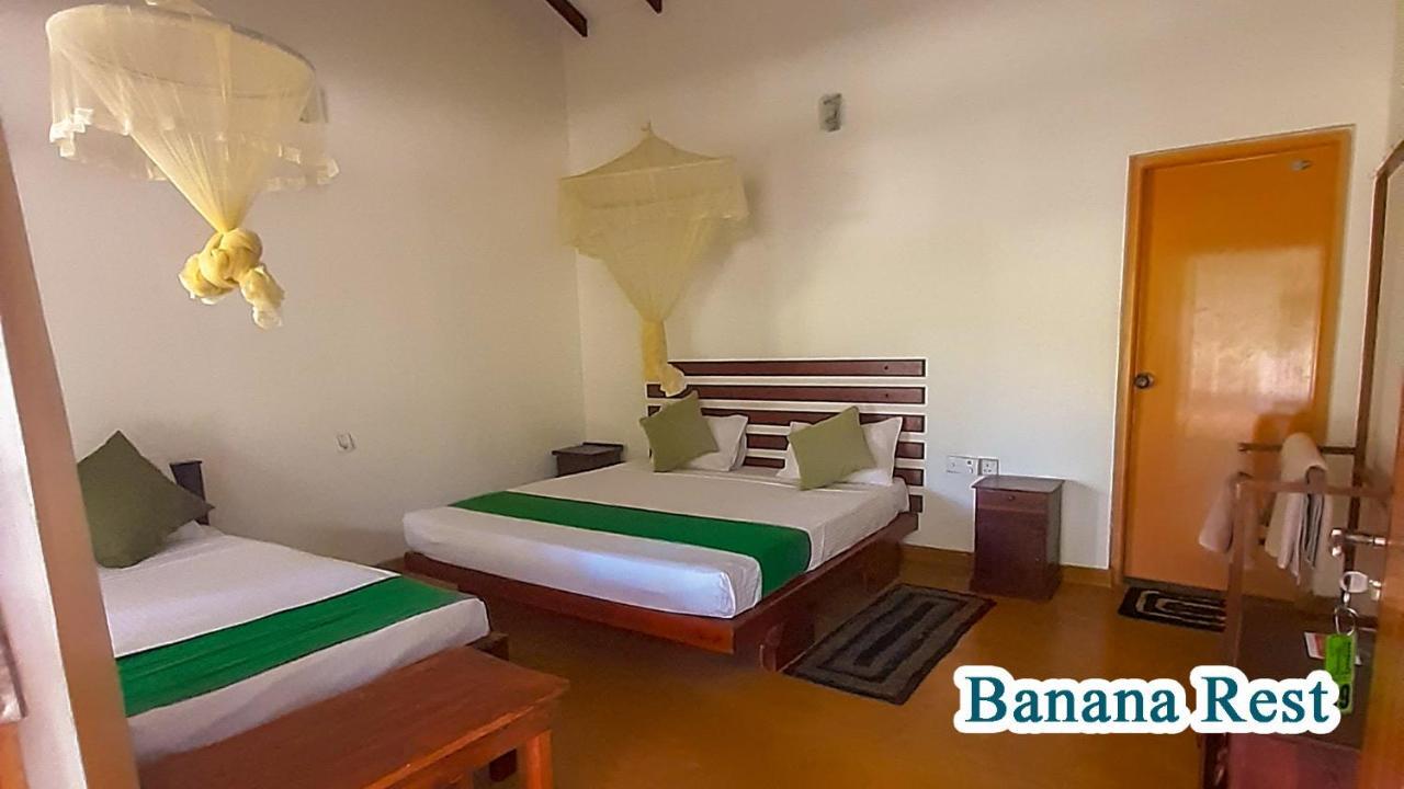 Banana Rest Sigiriya Bed & Breakfast Eksteriør bilde